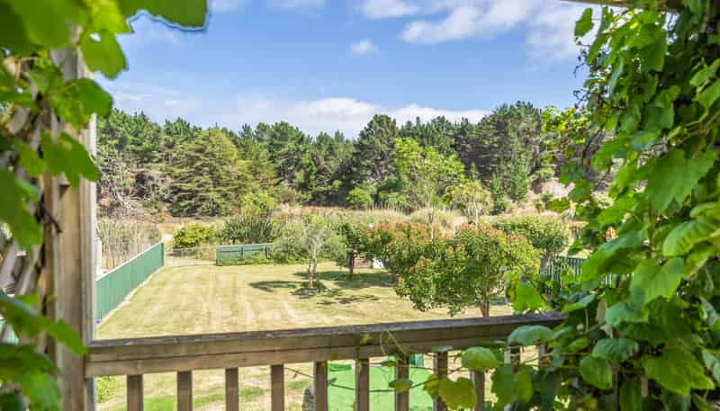 28 Drake Street, Waikawa Beach