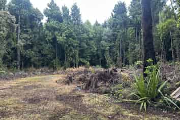 5 Jackson Place, Kumara Junction