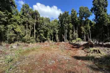 5 Jackson Place, Kumara Junction