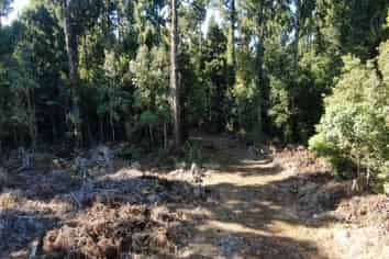 5 Jackson Place, Kumara Junction