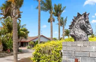 33 Jamieson Road, Buckland