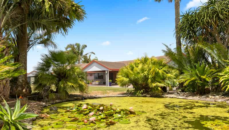 33 Jamieson Road, Buckland