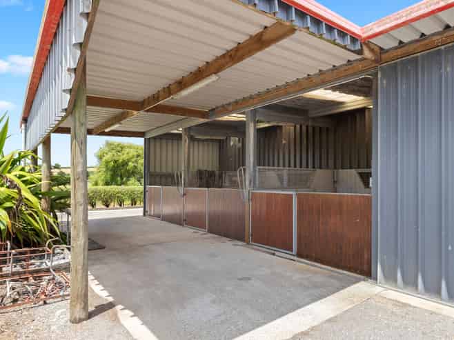 33 Jamieson Road, Buckland