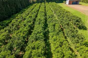 581D Kerikeri Road, Kerikeri