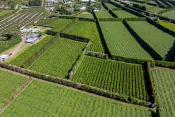 581D Kerikeri Road, Kerikeri