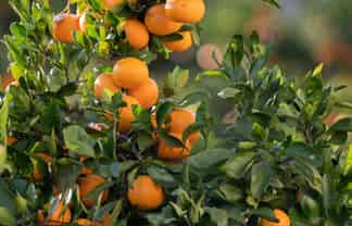 581D Kerikeri Road, Kerikeri