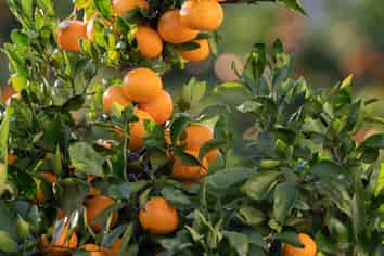 581D Kerikeri Road, Kerikeri