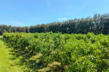 581D Kerikeri Road, Kerikeri