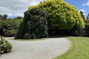 241 Trices Road, Prebbleton