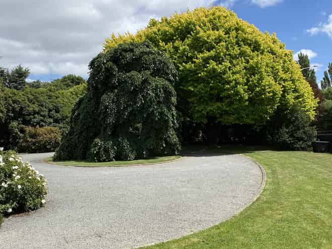 241 Trices Road, Prebbleton