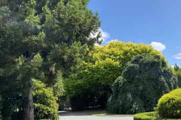 241 Trices Road, Prebbleton