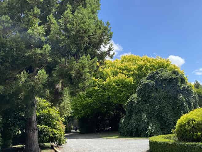 241 Trices Road, Prebbleton