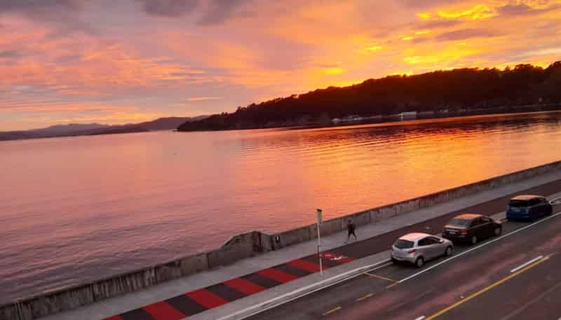 4/148 Evans Bay Parade, Roseneath