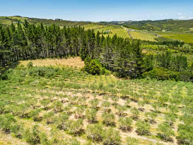 2884A State Highway 10, Mangonui