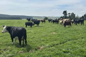 410 Woodstock Road, Dacre