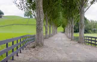 Lot 2, 3 & 5,  Harwoods Road, Tirau