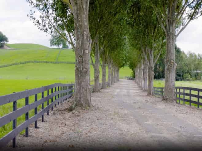 Lot 2, 3 & 5,  Harwoods Road, Tirau