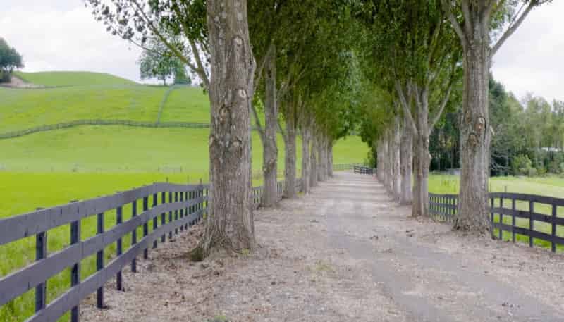 Lot 2, 3 & 5,  Harwoods Road, Tirau