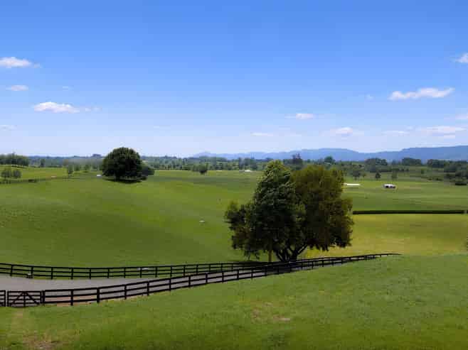 Lot 2, 3 & 5,  Harwoods Road, Tirau