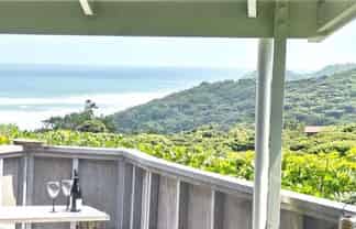 117 Seaview Road, Piha