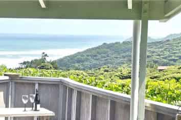 117 Seaview Road, Piha