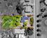 11 Hukutaia Road, Opotiki and Surrounds, Opotiki, Bay of Plenty