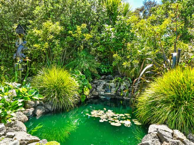 20 Searle Drive, Patumahoe