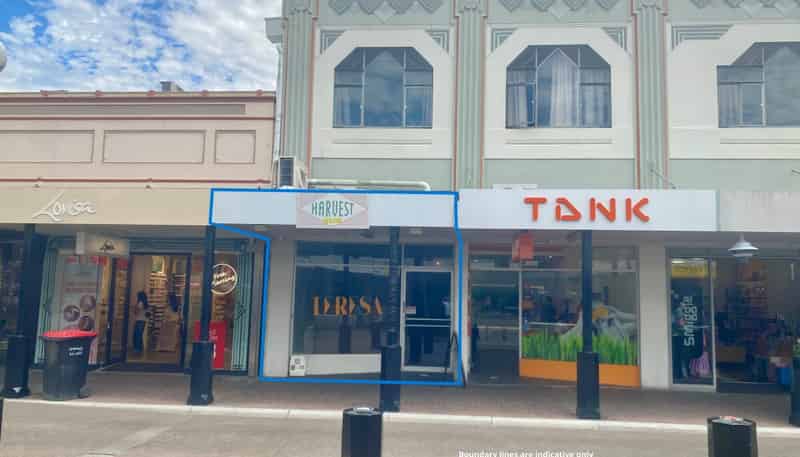 122 Emerson Street, Napier Central