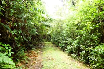 5296D State Highway 6, Punakaiki