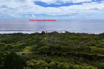 5296D State Highway 6, Punakaiki