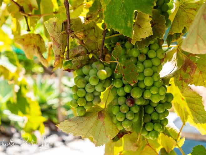 96 Atkin Road, Mangawhai