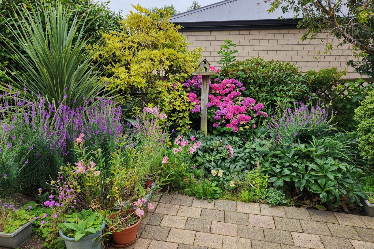 Spacious Sun Trap in Prime Location – pohled 5
