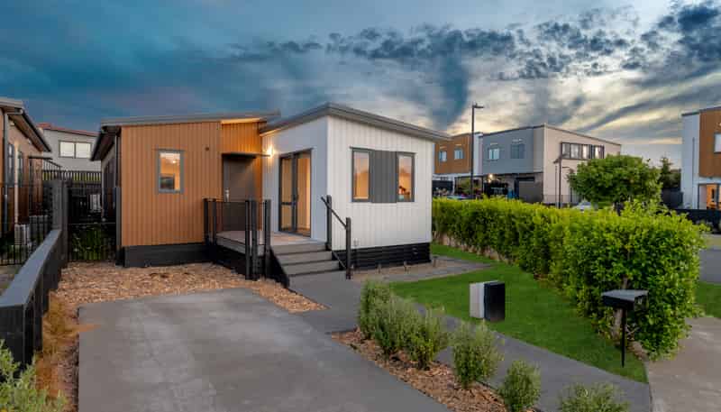 42 Tahere Road, Flat Bush