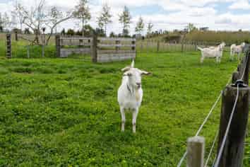 33 Signal Road, Okaihau