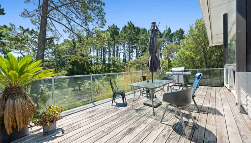 16 Stedman Place, Avondale