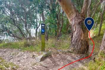 HB20 Boatshed, Diamond Harbour
