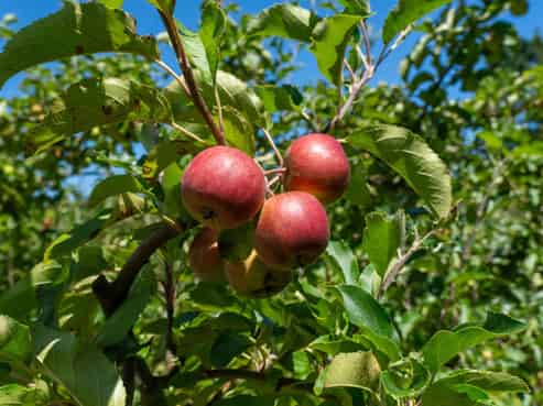 1191-1193 State Highway 1, Te Horo