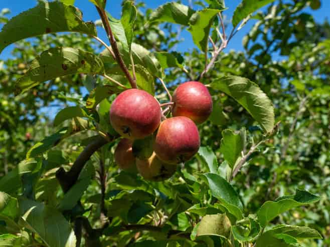 1191-1193 State Highway 1, Te Horo