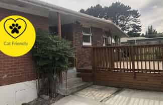 41 Anita, Mount Roskill