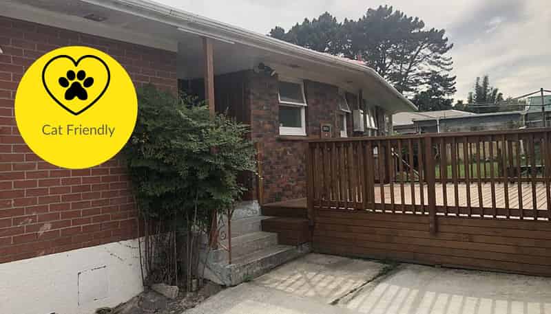 41 Anita, Mount Roskill