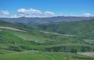 980 Moa Flat Road, Moa Flat