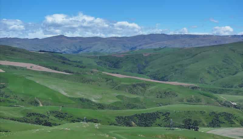 980 Moa Flat Road, Moa Flat