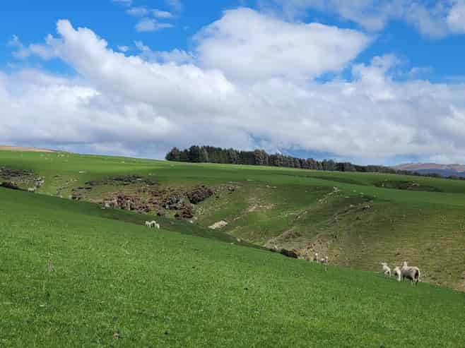 980 Moa Flat Road, Moa Flat