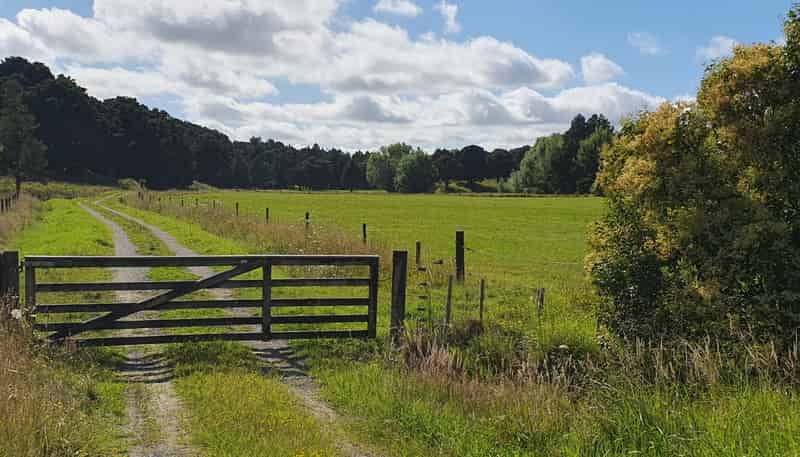 1241 Ararua Road, Ararua
