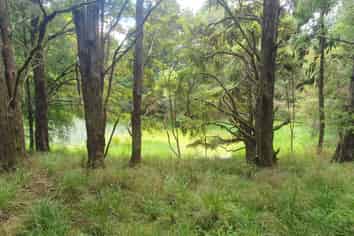 1241 Ararua Road, Ararua