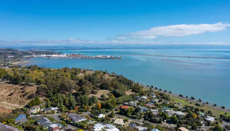 11 Chamerion Way, Atawhai