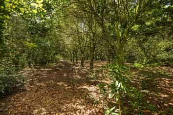 Lot 4 Horeke Road, Okaihau