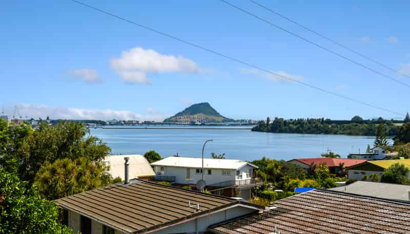 359 Maungatapu Road, Maungatapu