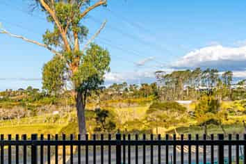 47 Puhikawa Street, Massey