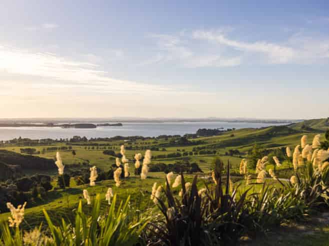 105A Rawson Road, Te Kauwhata